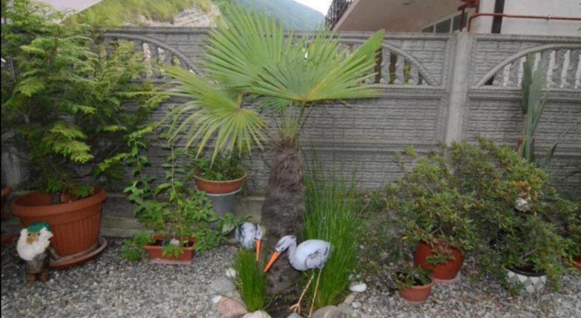 Гостевой дом Вилла Людмила Лазаревское-23